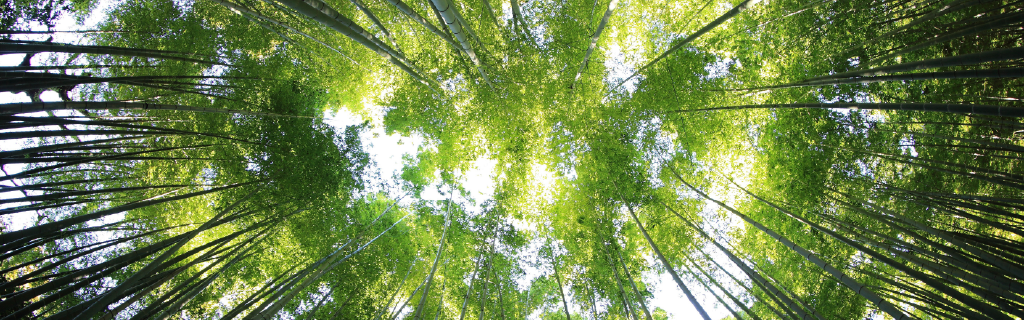 Trattamento di fine vita e la dignità della persona