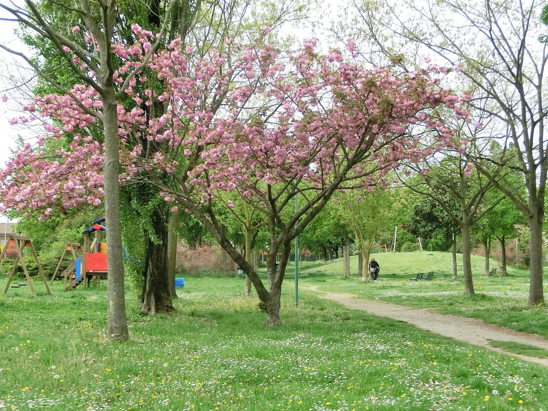 Parco Savino Daloiso